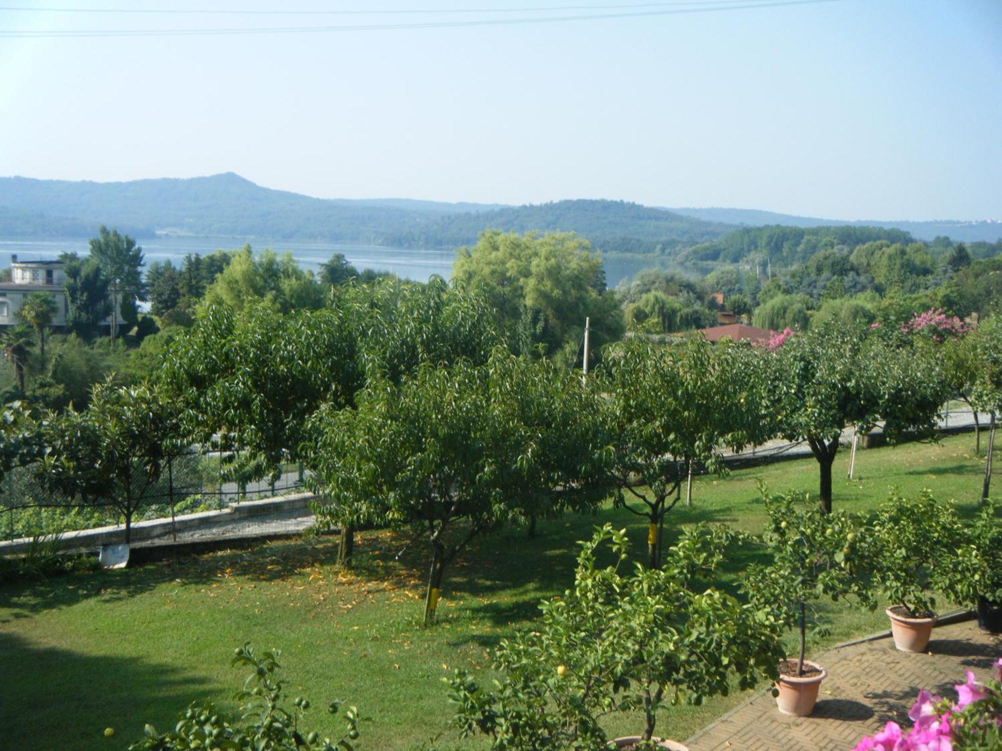 B&B Il Gufetto Viverone Dış mekan fotoğraf